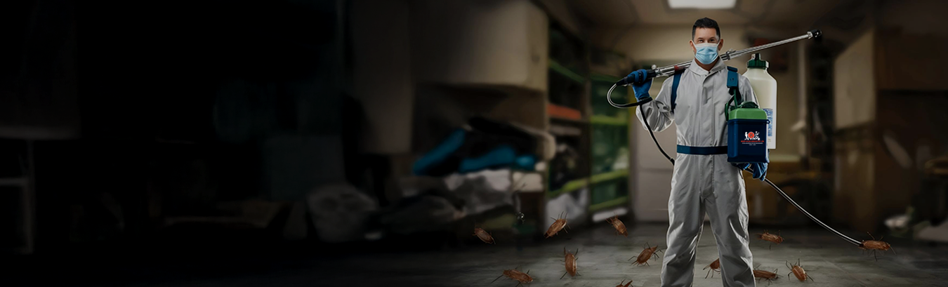 Insect Killer Services team providing pest control treatment